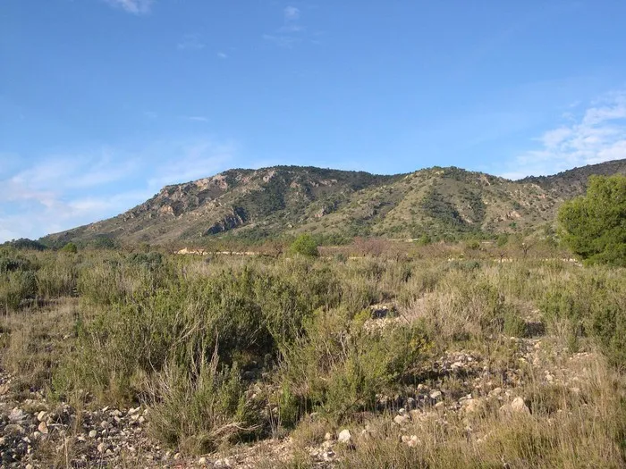 El Caire, Sierra Salinas