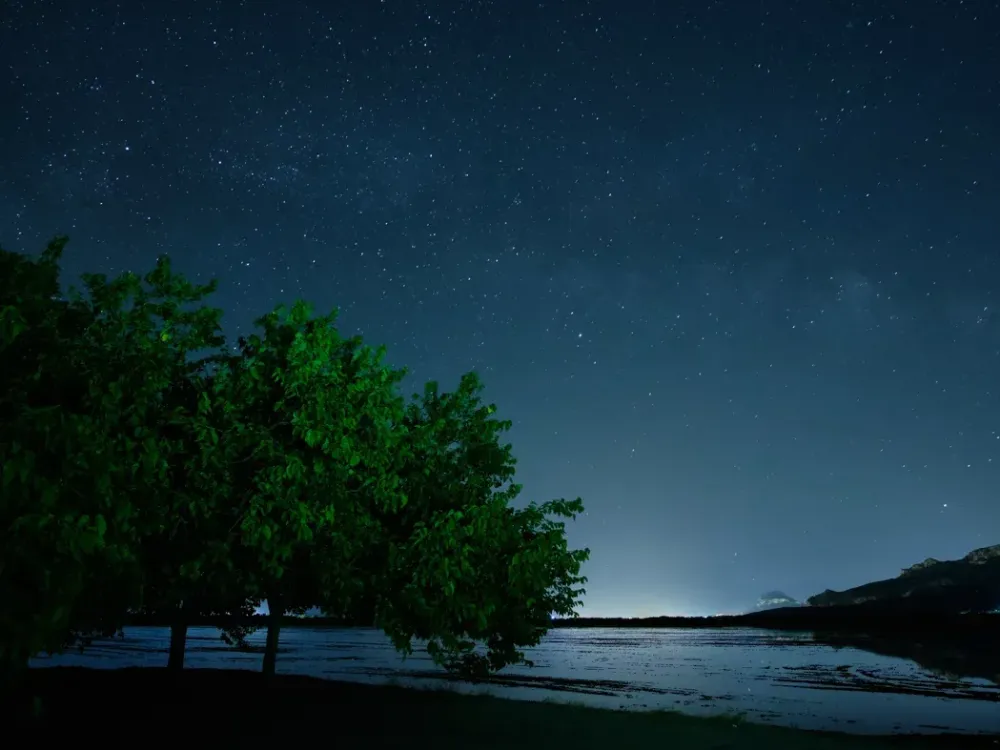 El parque natural El Marjal de Pego a la luz de la luna