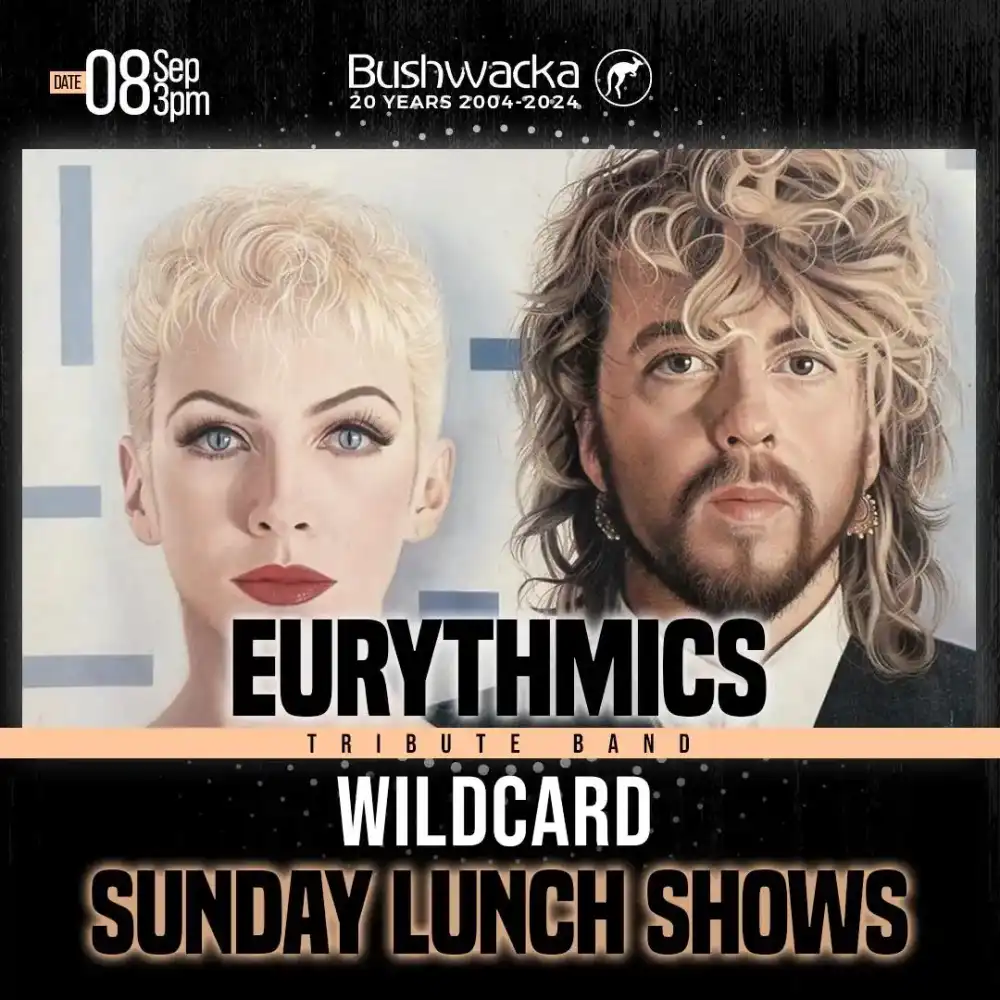 Eurythmics Tribute Banda Wildcard