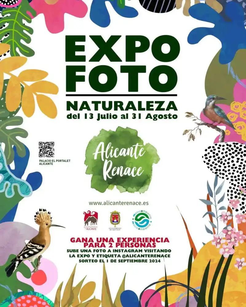 Expo Foto Alicante Renace