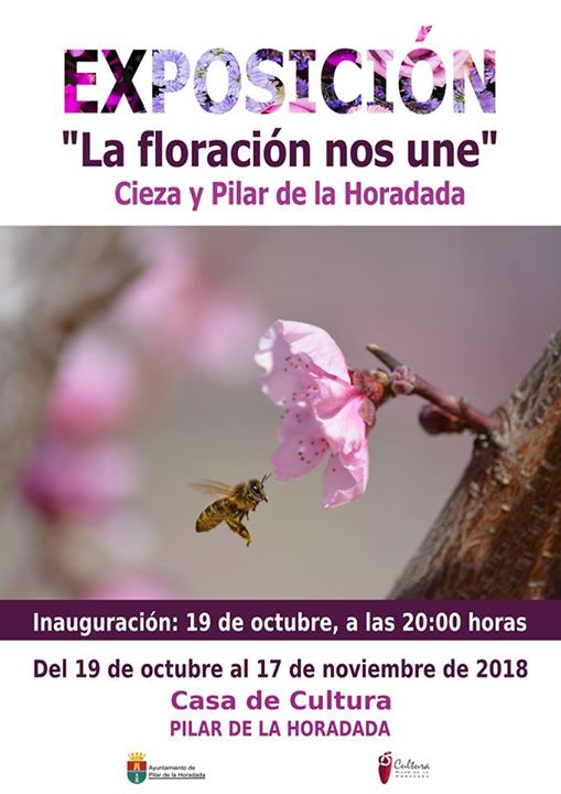 Exposición "La floración nos une" en Pilar de la Horadada