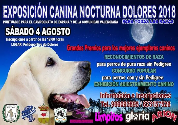 Exposición Canina Nocturna Dolores 2018