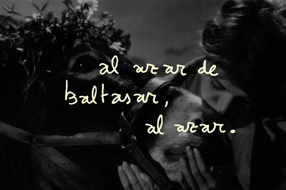 Exposición. Al azar de Baltasar, al azar