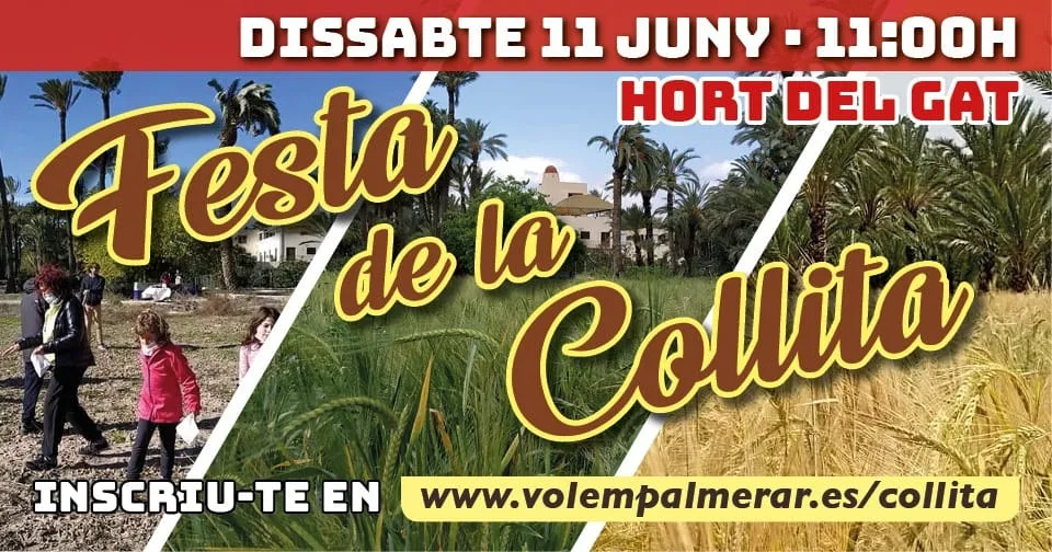 Festa de la Collita a l'hort del Gat