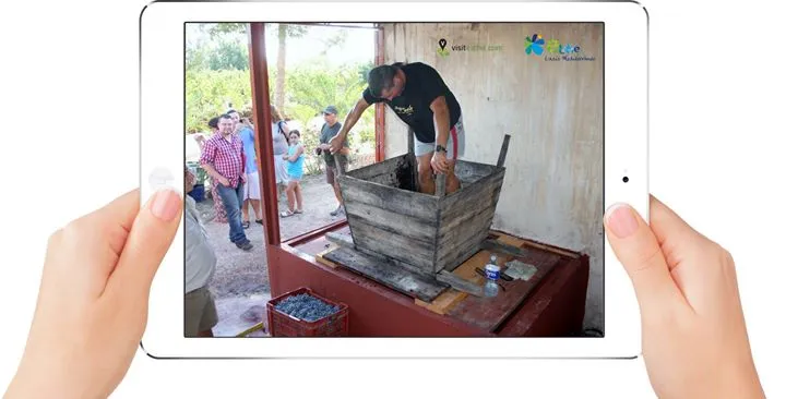 Fiesta de la Vendimia en Bodegas Faelo