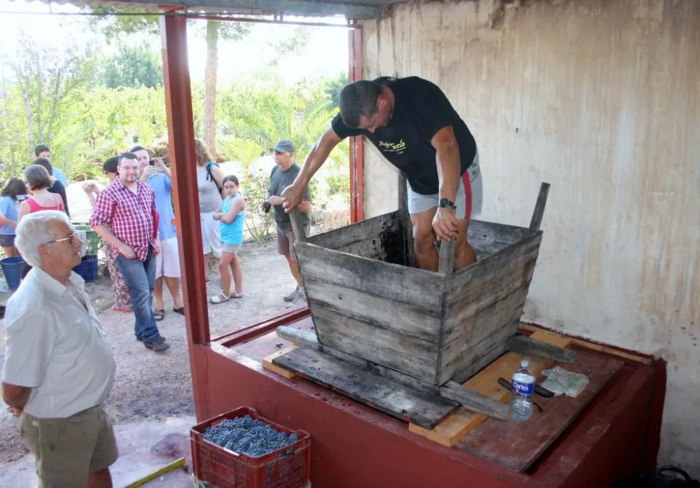Fiesta de la Vendimia en Bodegas Faelo