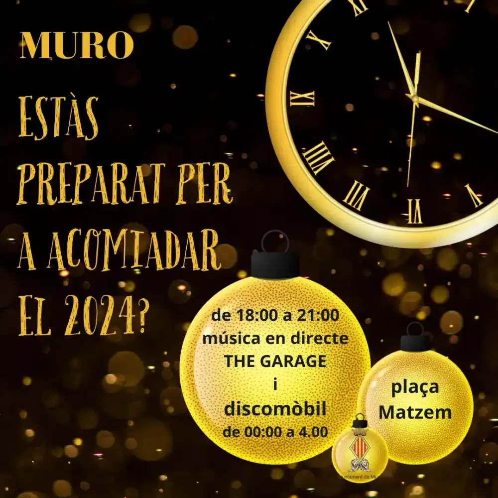 Fiesta Fin de Año Muro 2024