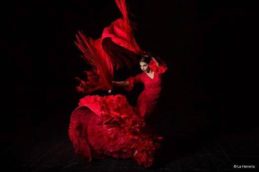 Flamenco Al Aire en Villavieja