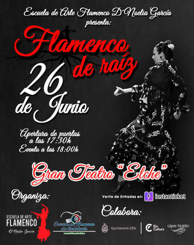 Flamenco de Raíz