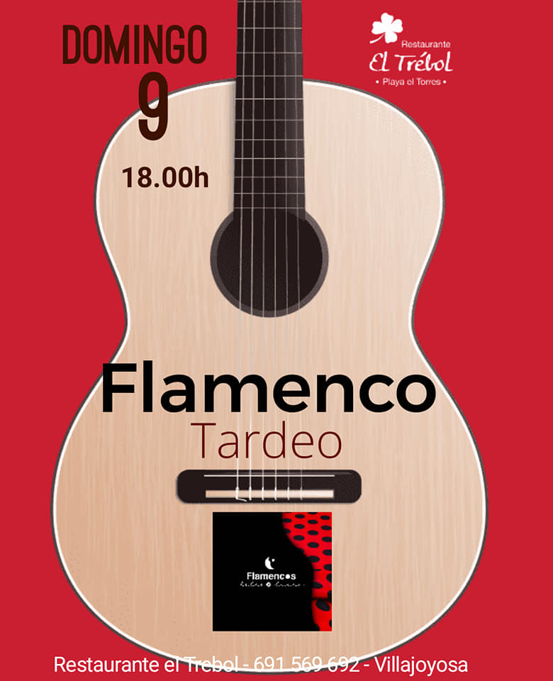 Flamenco en el Trébol