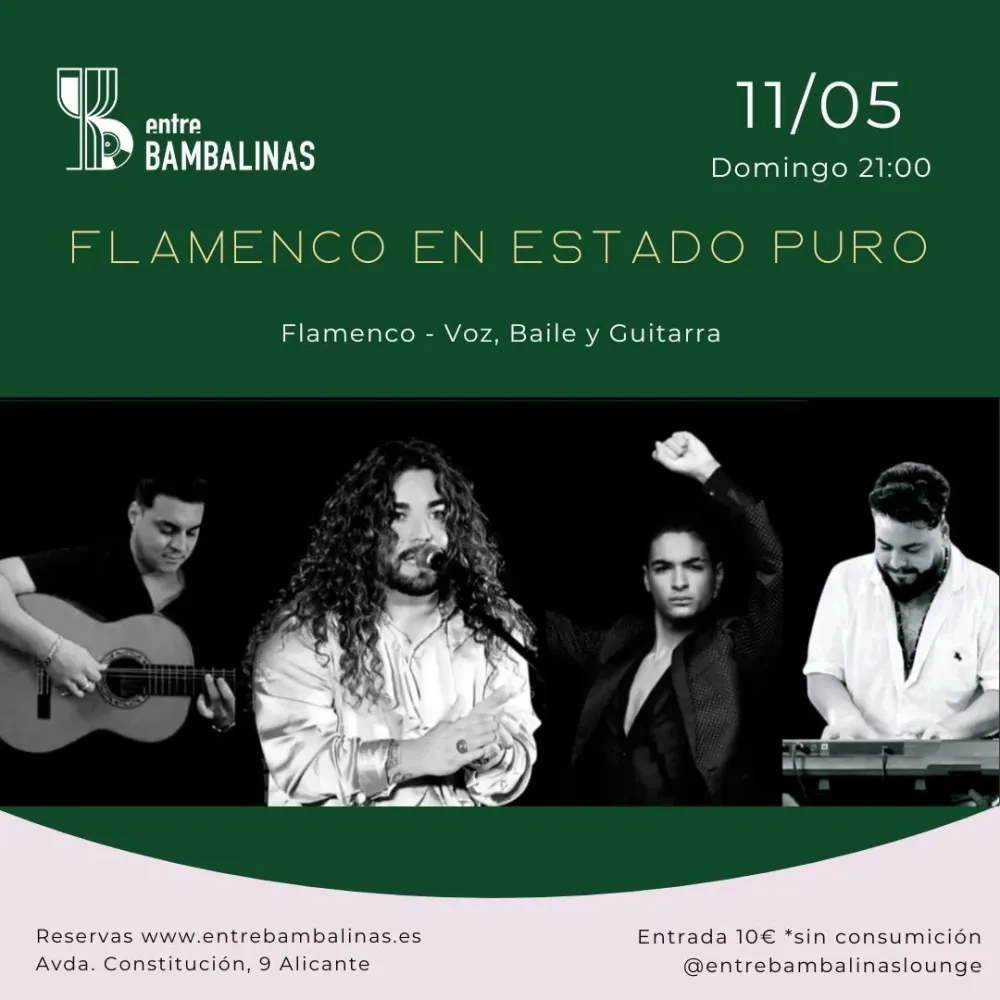 Flamenco en estado puro