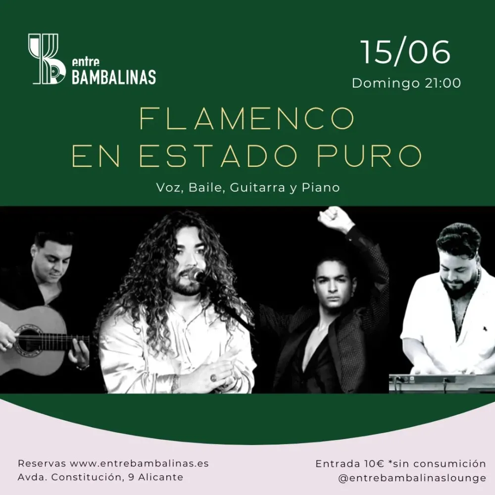 Flamenco en estado puro
