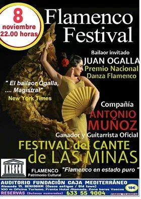 Flamenco Festival