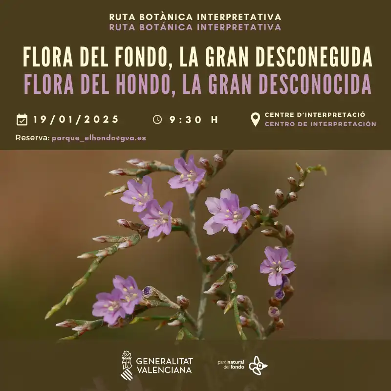 Flora del Hondo, la gran desconocida