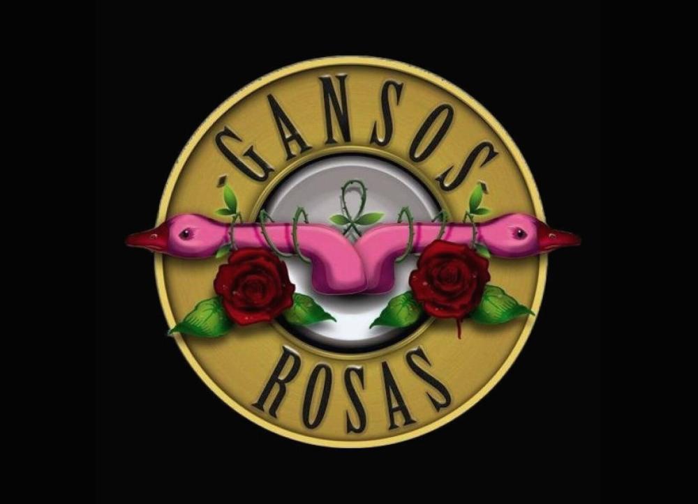 Gansos Rosas en Benidorm 2023