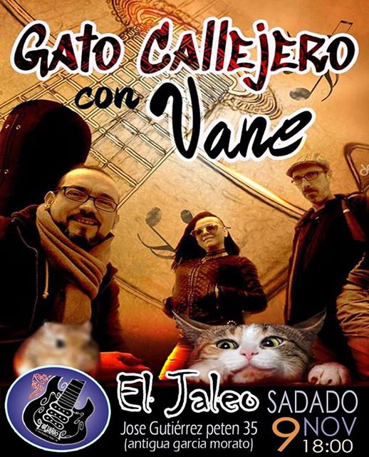 Gato Callejero & Vane