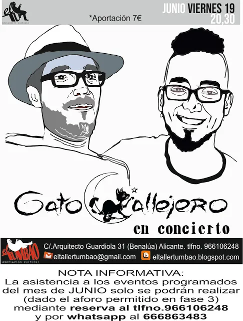 Gato callejero en concierto