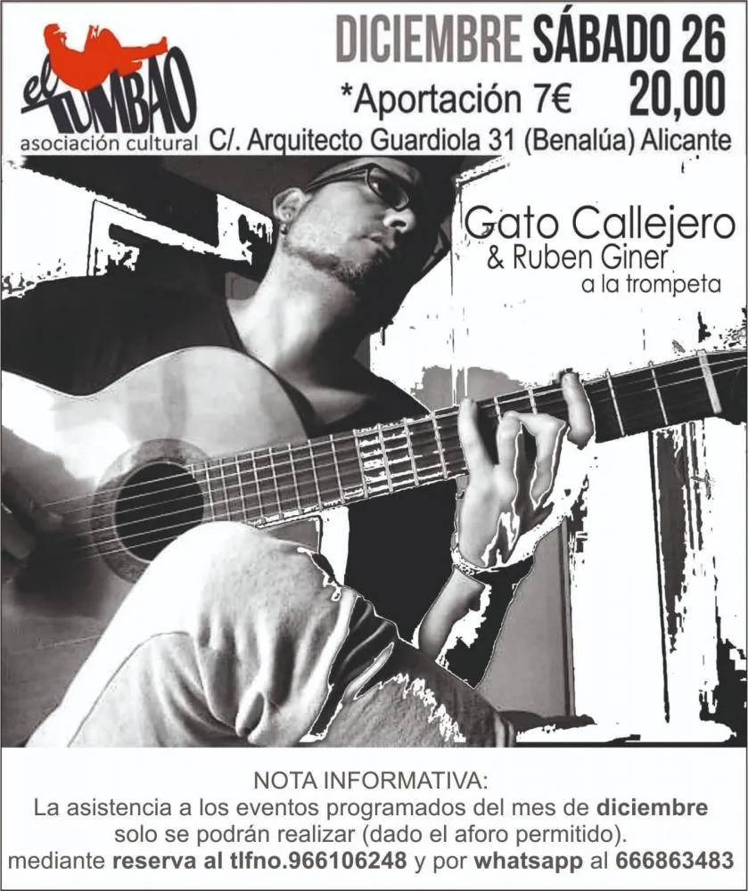 Gato callejero en el Tumbao