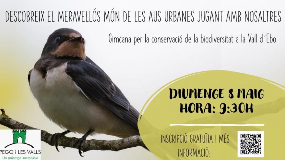 Gimcana para la conservación de la Biodiversidad en la Vall d'Ebo con Magic&Natura