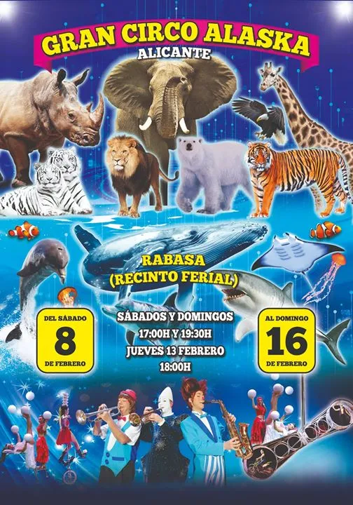 Gran Circo Alaska en Alicante 2020