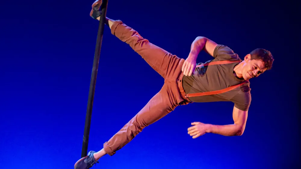Gran Gala de Circo, Circarte