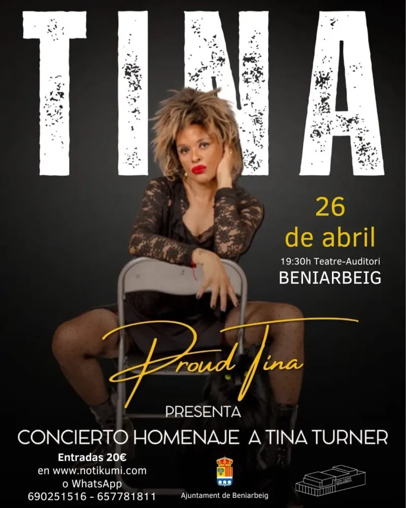 Homenaje a Tina Turner