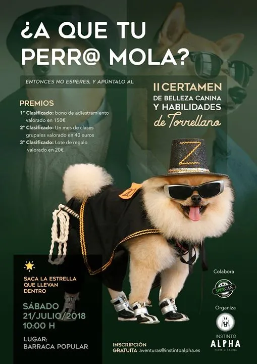 II Certamen de belleza canina y habilidades de Torrellano