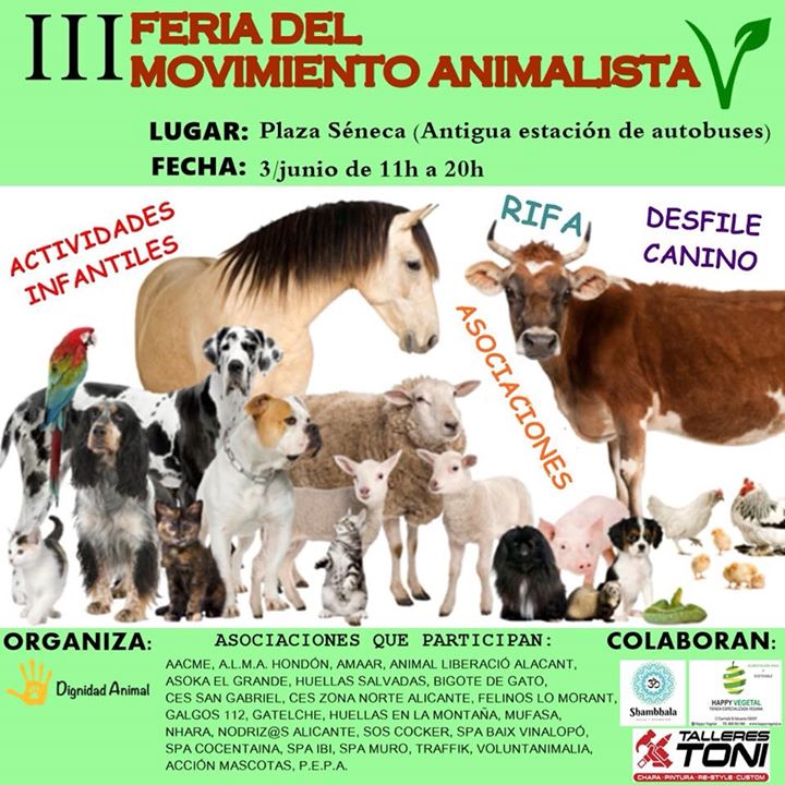 III Feria Animalista (Peludos en adopción)