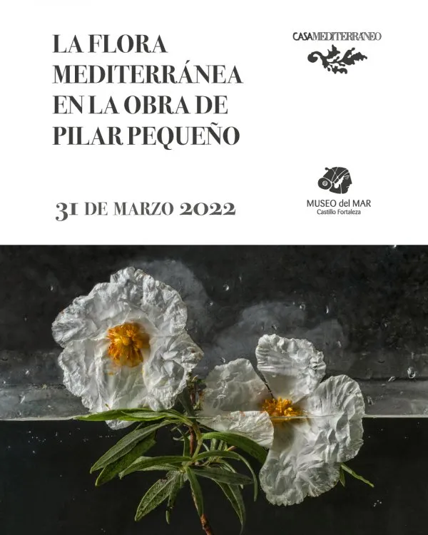 Inauguración exposición "La flora Mediterránea en la obra de Pilar Pequeño"