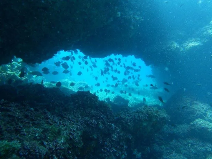 Inmersión en Escull Negre Reserva Marina Tabarca