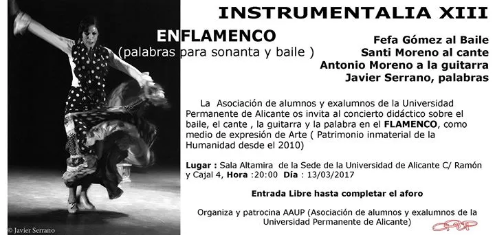 Instrumentalia XIII