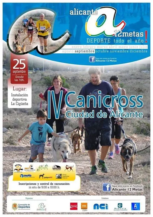 IV Canicross