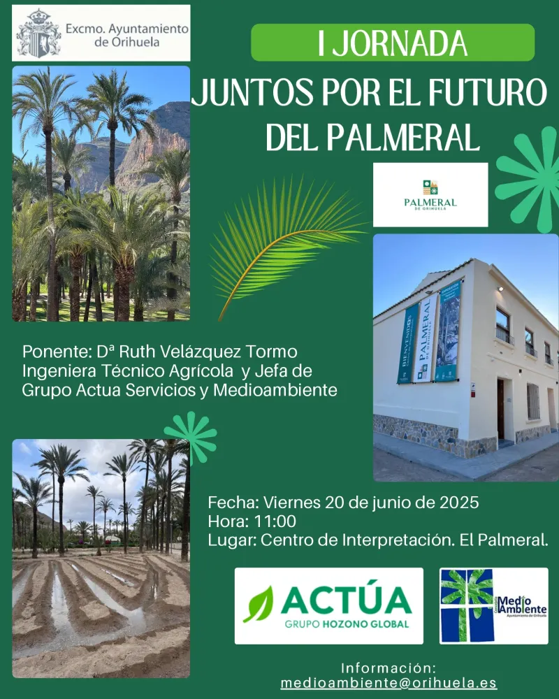 Jornada 'Juntos por el futuro del Palmeral'