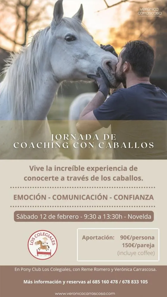 Jornada de coaching con caballos