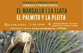 Jornada etnobotánica: El palmito y la pleita