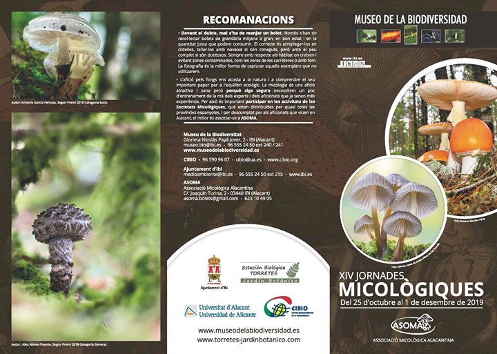 Jornadas Micológicas del Museo de la Biodiversidad 2019