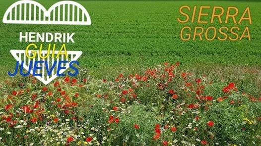 Jueves mañana: Sierra Grossa Luz y Color, mar y monte