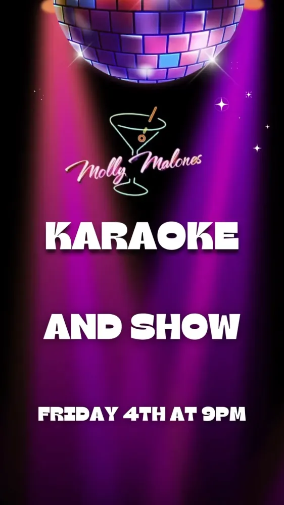 Karaoke & Show with the fantastic John The Fiddler