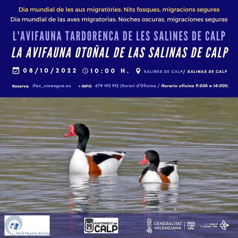 La Avifauna Otoñal de las Salinas de Calpe