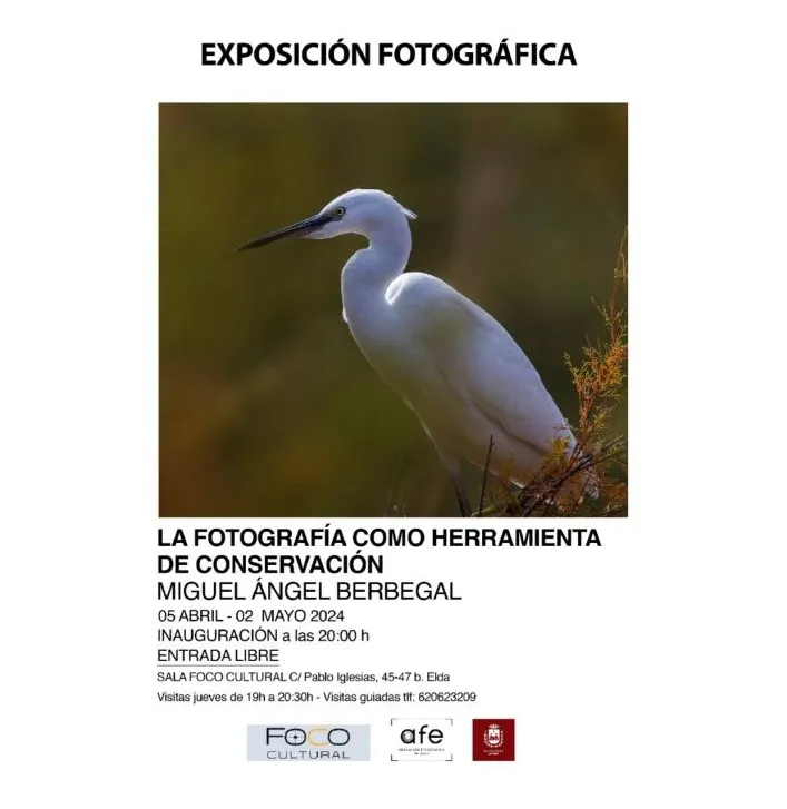 La fotografía como herramienta de conservación - Miguel Ángel Berbegal