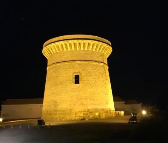 La Illeta, cruce de civilizaciones - Visitas guiadas a la Torre de la Illeta