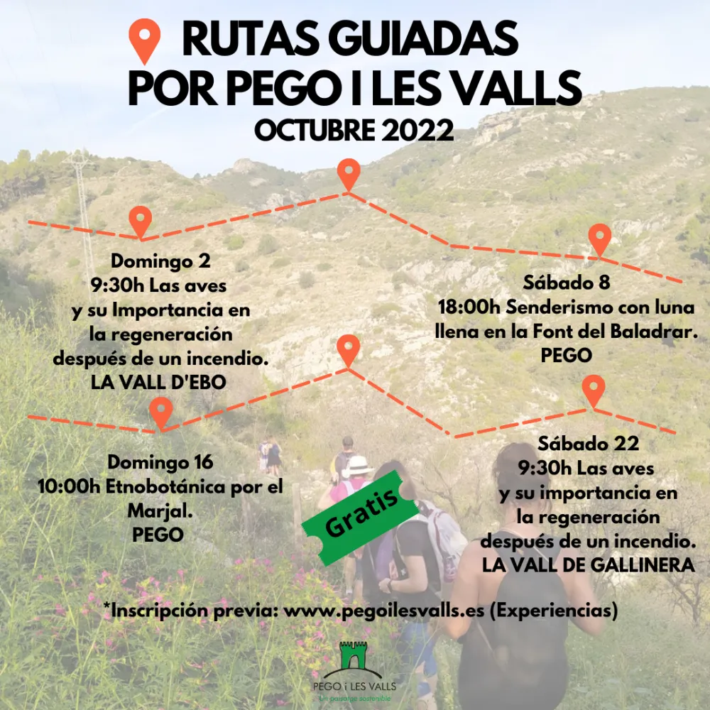 Las aves y su importancia en la regeneración después de un incendio