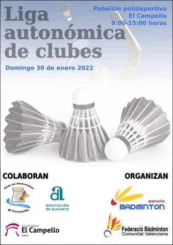 Liga autonómica de clubes de bádminton