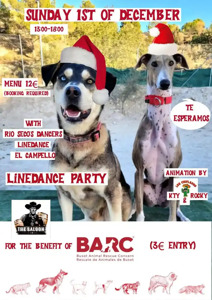 Linedance party