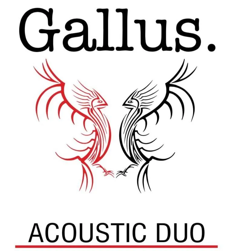 Live Music With Gallus