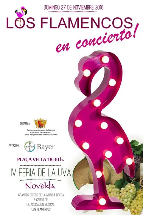 Los Flamencos en concierto