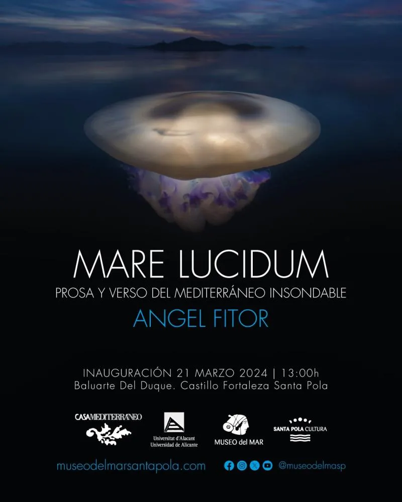 Mare Lucidum