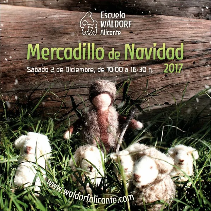MERCADILLO DE NAVIDAD