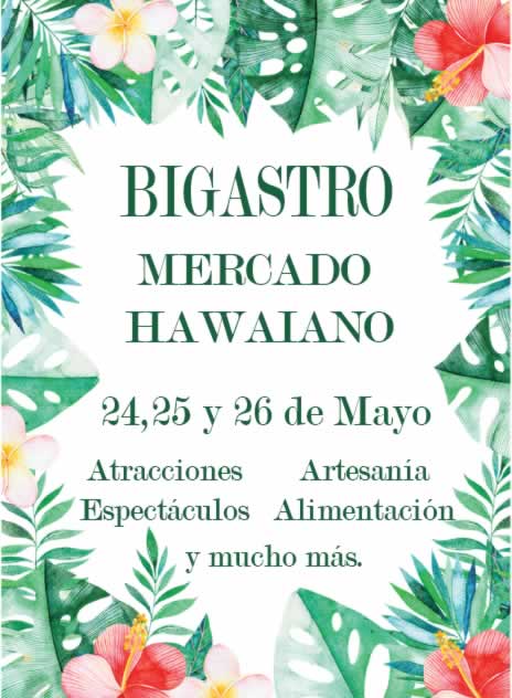 Mercado Hawaiano en Bigastro 2019