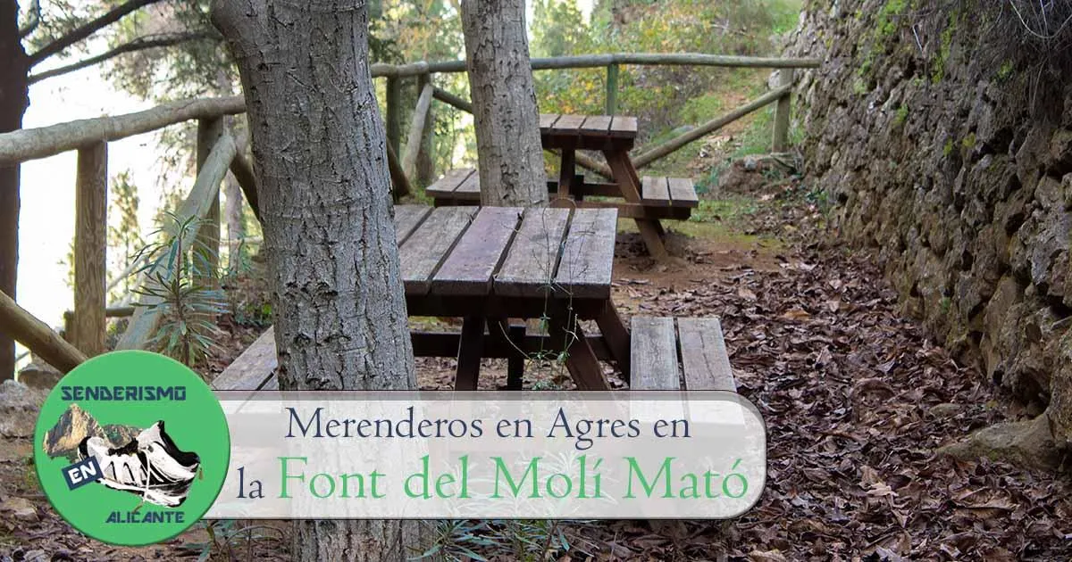 Merenderos en la Font del Molí Mató